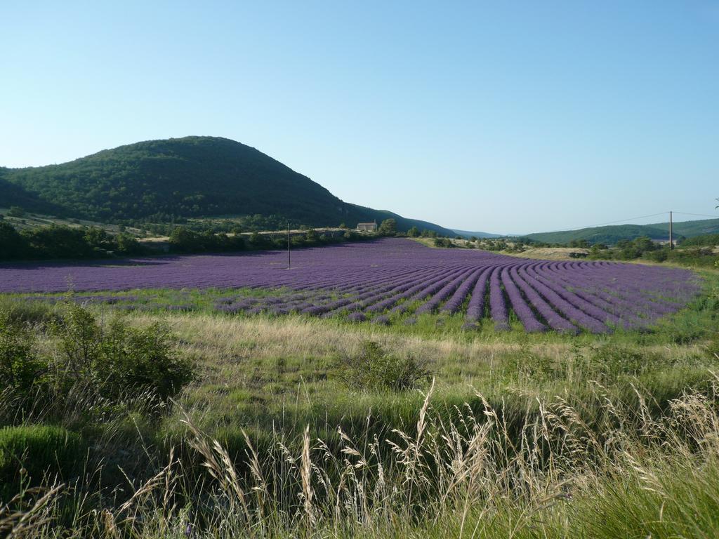 La Grange De La Lavande Lardiers Zewnętrze zdjęcie